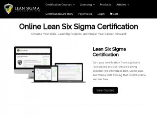 leansigmacorporation.com screenshot