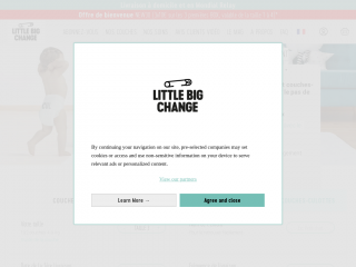 little-big-change.com screenshot