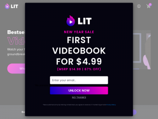 litvideobooks.com screenshot
