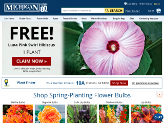 michiganbulb.com screenshot