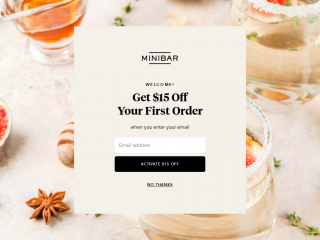 minibardelivery.com screenshot