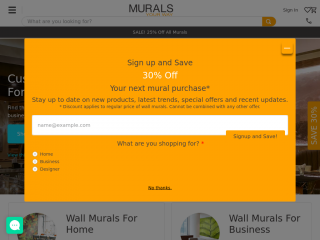 muralsyourway.com screenshot