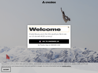 oneskee.com screenshot