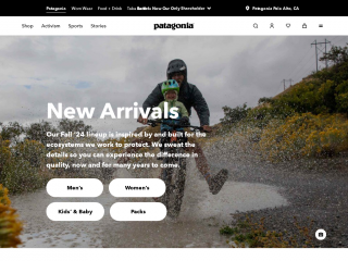 patagonia.com screenshot