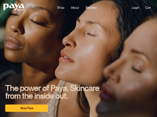 payahealth.com screenshot