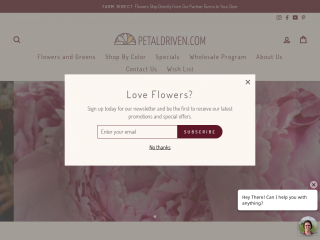 petaldriven.com screenshot