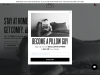 pillowguy.com coupons