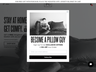 pillowguy.com screenshot