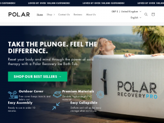 polar-recovery.com screenshot