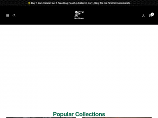 polymerholster.com screenshot