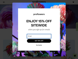 proflowers.com screenshot