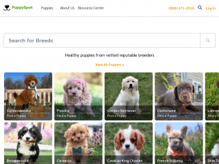puppyspot.com screenshot