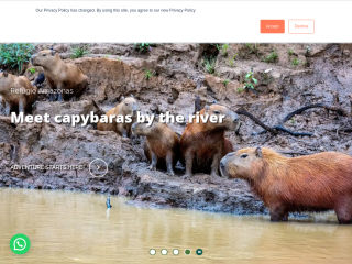 rainforestexpeditions.com screenshot