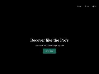 recoverex.com screenshot