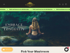 royal-mushroom.com coupons