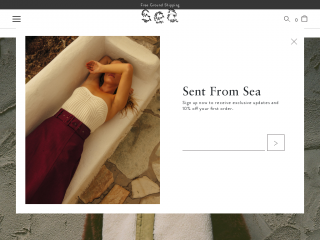 sea-ny.com screenshot