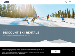 skirentals.com screenshot
