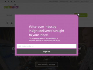 suchavoice.com screenshot