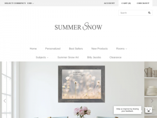 summersnowart.com screenshot