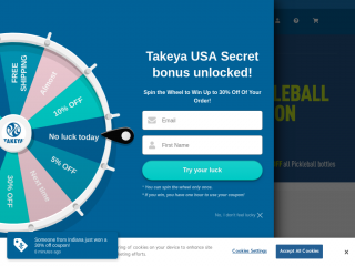 takeyausa.com screenshot