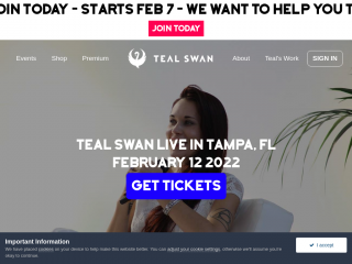 tealswan.com screenshot