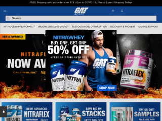 teamgat.com screenshot