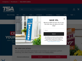 teamsportsamerica.com screenshot