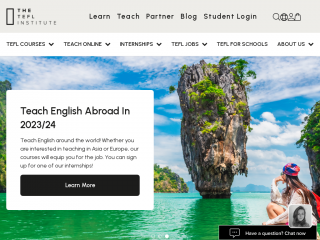 teflinstitute.com screenshot