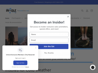 theinsolestore.com screenshot