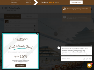 themagani.com screenshot