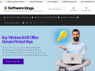 thesoftwarekings.com screenshot