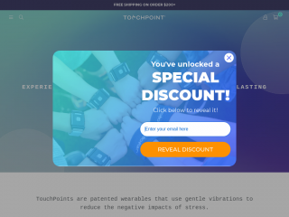 thetouchpointsolution.com screenshot