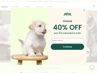 thinkjinx.com screenshot
