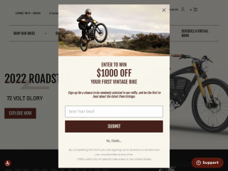 vintageelectricbikes.com screenshot