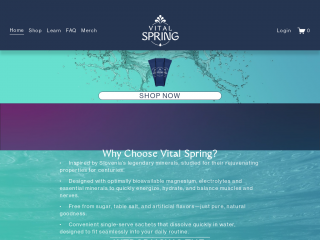 vital-spring.com screenshot