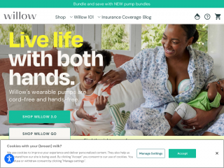 willowpump.com screenshot