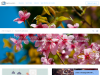 yayimages.com coupons