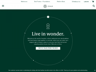 zinus.com screenshot